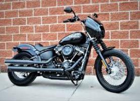 Cruiser Bike
