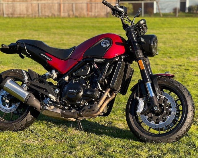 Benelli Leoncino 500 Insurance